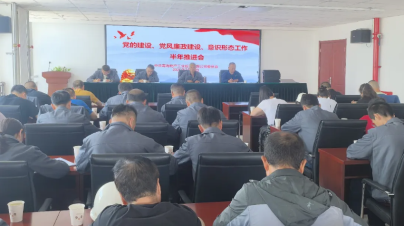工投公司黨委召開黨的建設、黨風廉政建設、意識形態(tài)工作半年推進會