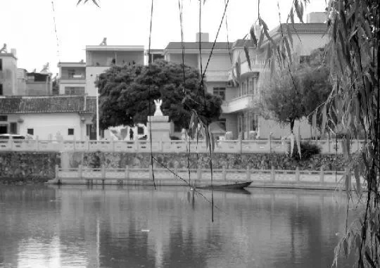 老鄉(xiāng)眼里的李河君：陌生富豪，夫人助其發(fā)財